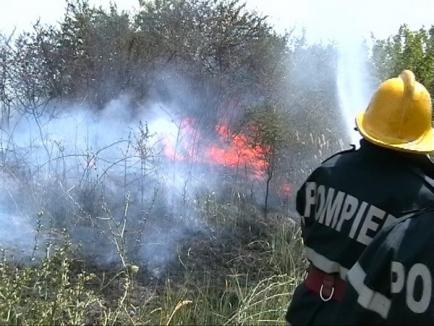 Nu puneţi foc! Pompierii bihoreni au stins 19 arderi necontrolate în doar două zile